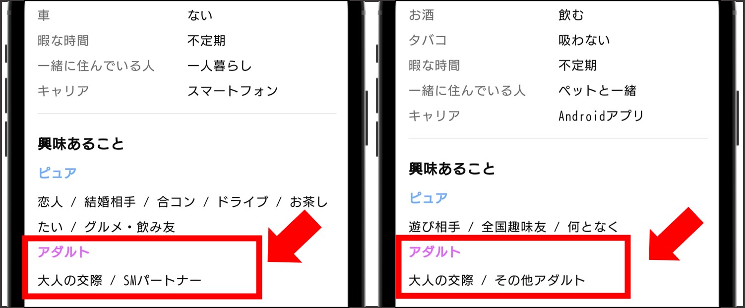 ワクワクメール 興味があることでアダルト項目を設定している人は業者