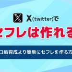 Twitter(X)でセフレは作れる！エロ垢育成より簡単にセフレを作る方法